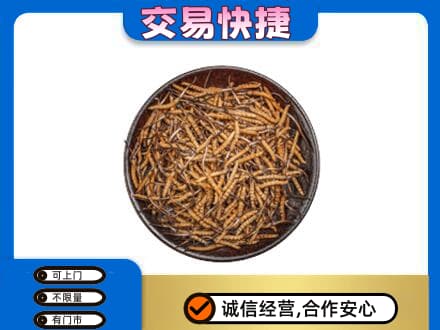 枣强县高价回收散虫草