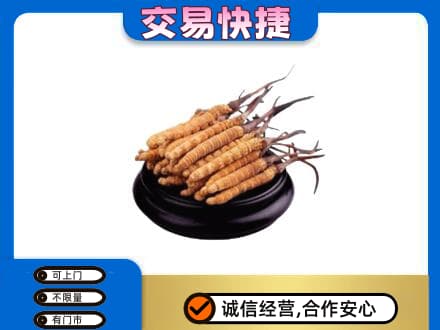 枣强县礼品回收散虫草.jpg